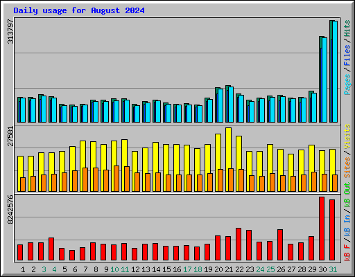 Daily usage for August 2024