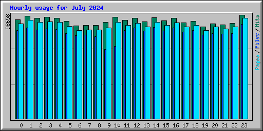 Hourly usage for July 2024