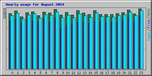 Hourly usage for August 2024