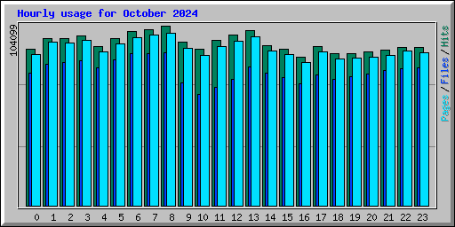 Hourly usage for October 2024