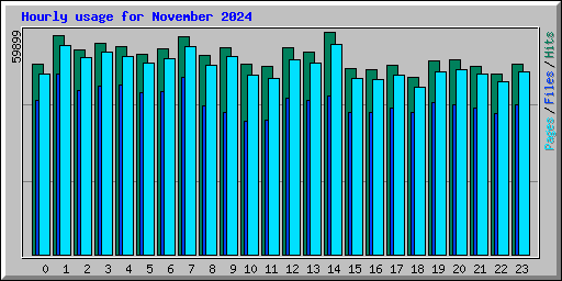 Hourly usage for November 2024