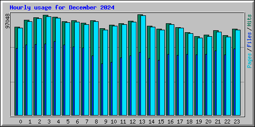 Hourly usage for December 2024