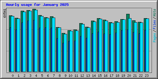 Hourly usage for January 2025