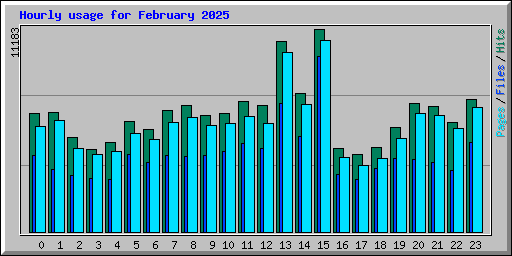 Hourly usage for February 2025