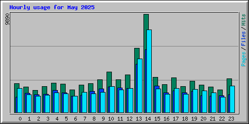 Hourly usage for May 2025