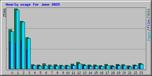 Hourly usage for June 2025