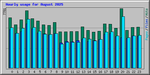 Hourly usage for August 2025