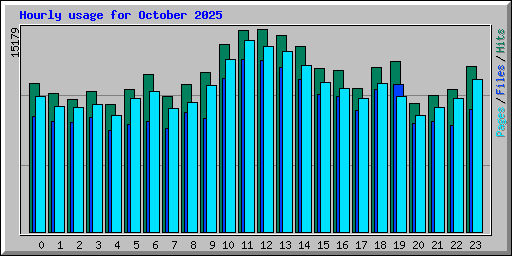 Hourly usage for October 2025
