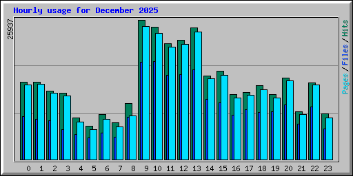 Hourly usage for December 2025